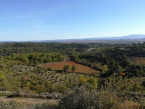 agriculture minervois