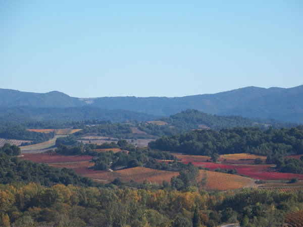 communication web pour collectivités territoriales rurales