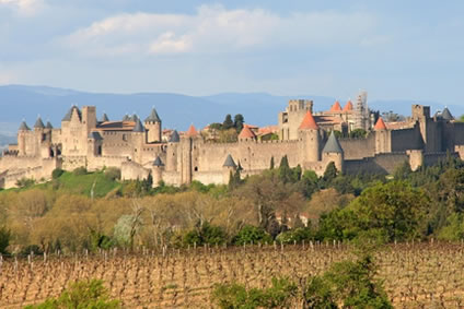 consultant web wordpress dans l'Aude près de Carcassonne
