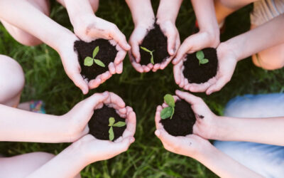 Site WordPress pour associations